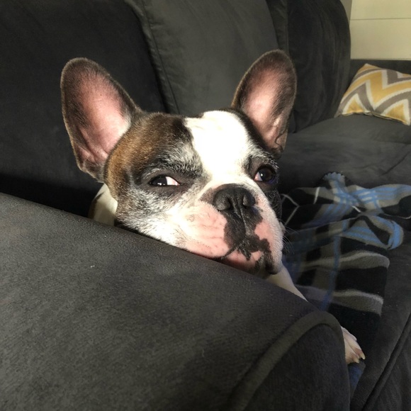 Meet your Posher - Picture 2 of 7